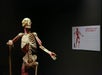 A preserved human anatomical model showing muscles and bones stands near a sign labeled "Articular Specimen" in a dimly lit exhibit.