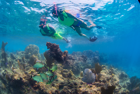 Two people snorkeling above a vibrant coral reef with clear blue water and tropical fish swimming below.