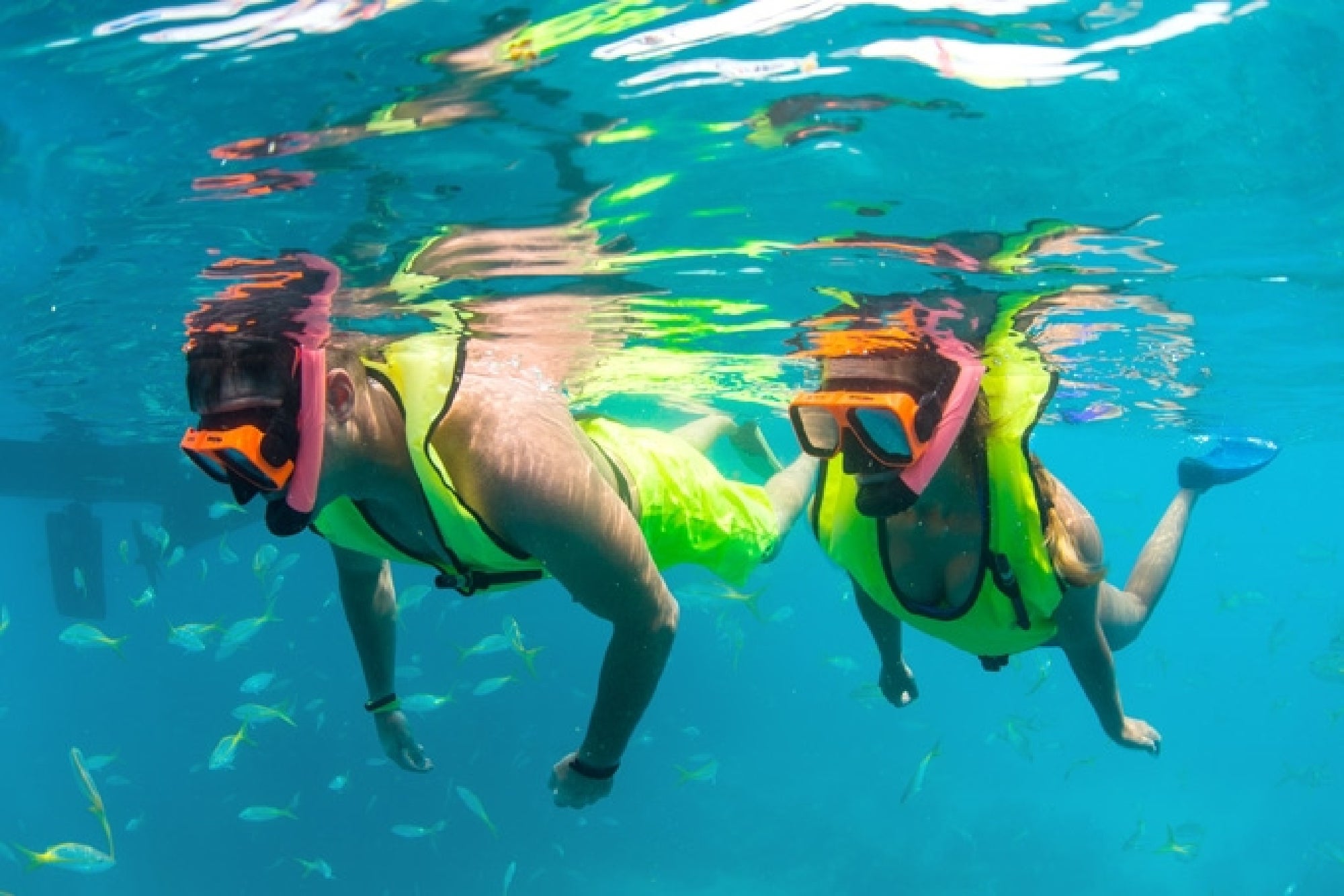Two snorkelers in bright gear swim underwater in clear blue water, surrounded by small fish.