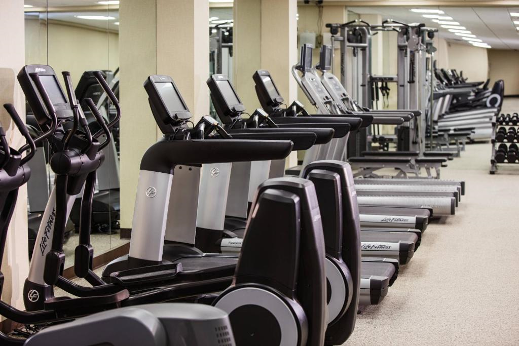 A gym with multiple treadmills and elliptical machines lined up next to mirrors, alongside various other fitness equipment.