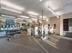 Modern gym with exercise bikes, treadmills, dumbbells, and rowing machines. Large mirrors and a TV adorn the walls. Natural light filters through windows onto the carpeted floor.