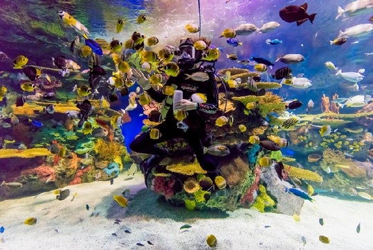 Ripley's Aquarium in Myrtle Beach, South Carolina