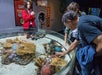 Ripley's Aquarium of Canada in Toronto, Ontario