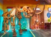 Life-size ancient Mastodon