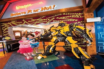 Car Parts Bumblebee - Ripley's Believe It or Not! Odditorium in Williamsburg, Virginia