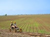 Two people ride a four-wheeled rail bike on train tracks, wearing helmets, with vast farmland in the background.