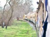 The exterior of the train as it moves along the tracks in West Sacramento, California.