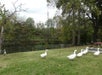 River Place Inn in Pigeon Forge, Tennessee