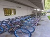 Bike Rentals.