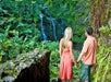 Maui Waterfalls