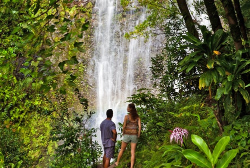 Maui waterfall
