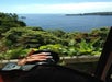 The ocean behind the trees as seen from the road on the Road to Hana tour in Maui Hawaii, USA.