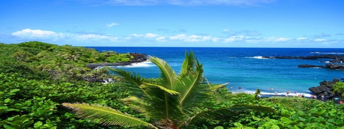 Road to Hana Waterfalls Tour with Lunch - , 