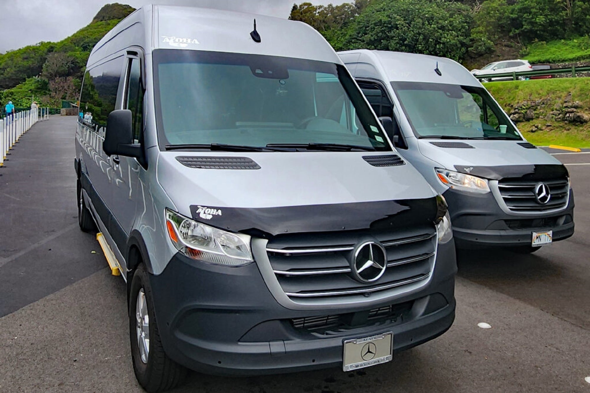Two silver Mercedes-Benz vans parked on a road with greenery and a fence in the background.