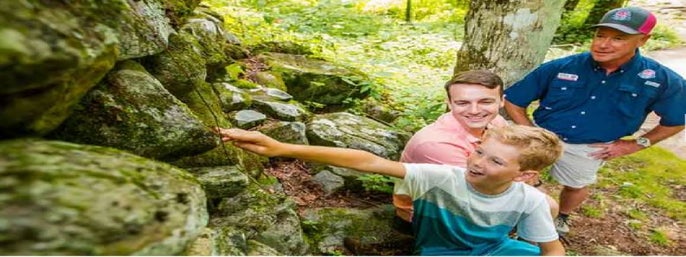 Roaring Fork Smoky Mountains Tour by Open-Air Jeep in Pigeon Forge, Tennessee