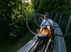 A person rides a single-car alpine coaster down a metal track surrounded by trees and protective fencing on a sunny day.