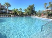 A clear outdoor swimming pool surrounded by lounge chairs and umbrellas, with palm trees and a building in the background under a blue sky.