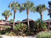 Palm trees  and lush greeneries surrounding the hotel.