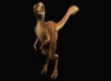 T. rex hatchling at Royal Ontario Museum