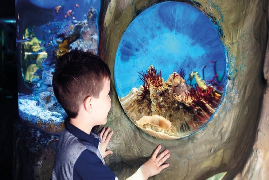 SEA LIFE Arizona