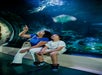 SEA LIFE Arizona