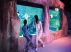 SEA LIFE Arizona