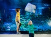SEA LIFE Charlotte-Concord in Concord, North Carolina
