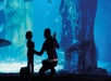 SEA LIFE Grapevine