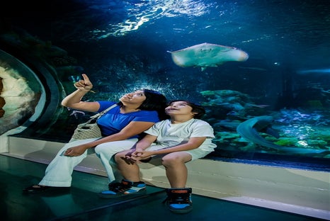 SEA LIFE Grapevine