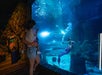 An adult holding a child stands in front of a large aquarium window, watching a performer dressed as a mermaid swim inside the tank.