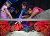 A joyful scene of a woman and three children interacting with colorful sea life in an aquarium, surrounded by vibrant pink sea anemones.