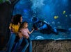 A woman and a young girl sitting in front of an aquarium, joyfully interacting with a diver underwater who is reaching out to them, surrounded by colorful fish and a sea turtle.
