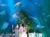 SEA LIFE San Antonio