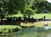 SWMOtorcycle Tours/Guided Motorcycle Tours