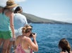 Guests take photos from the deck during a Maui whale watching tour.