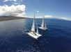 Sail Maui Snorkeling Tours aboard the Paragon in Lahaina- Maui, Hawaii
