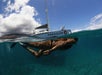 Sail Maui Snorkeling Tours aboard the Paragon in Lahaina- Maui, Hawaii