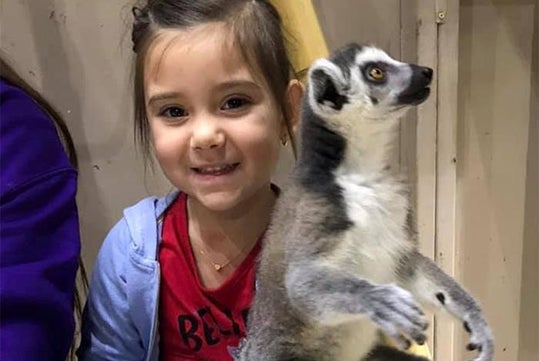 A young girl smiles at the camera while holding a ring-tailed lemur indoors.