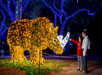 A child in a red coat points at a large illuminated rhinoceros sculpture made of yellow and white lights, set in a park with blue-lit trees at night.