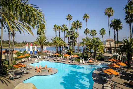 Outdoor pool area with lounge chairs, umbrellas, and palm trees overlooking a body of water under a clear blue sky.