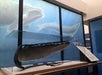 A museum display features a large whale baleen plate in a glass case, with an illustrated ocean scene of whales on the wall behind it and an informational placard to the right.