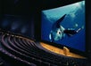 Sharks and so much more at SDNHM! - San Diego Natural History Museum in San Diego, California