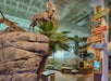 Taxidermy bighorn sheep displayed on artificial rocks in a museum, with a colorful directional sign and interactive exhibit area in the background.