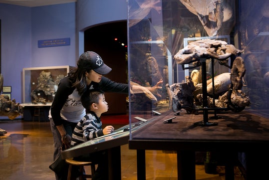 A woman and a young boy look at a display of fossils behind glass in a museum exhibit. The woman points at something while the boy sits on a stool.