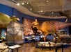 Dinosaur skeleton and model displays in a museum fossil exhibit room, with educational signs, fossils, and murals on the walls.