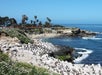 San Diego Private Driving Tour: Gaslamp Quarter, Balboa Park, and Old Town