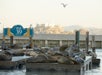 Pier 39 dock - San Francisco Bay Cruise Adventure in San Francisco, California