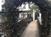 A walk bridge - The Savannah Stroll - Savannah Walks Tour