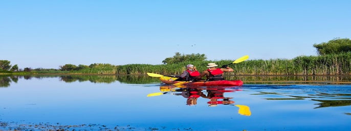 St. Augustine Scenic Cruise & Guided Kayak Eco Tour in St. Augustine, Florida