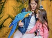 A mother and her daughter are having fun with a Blue and Yellow Macaw parrot.